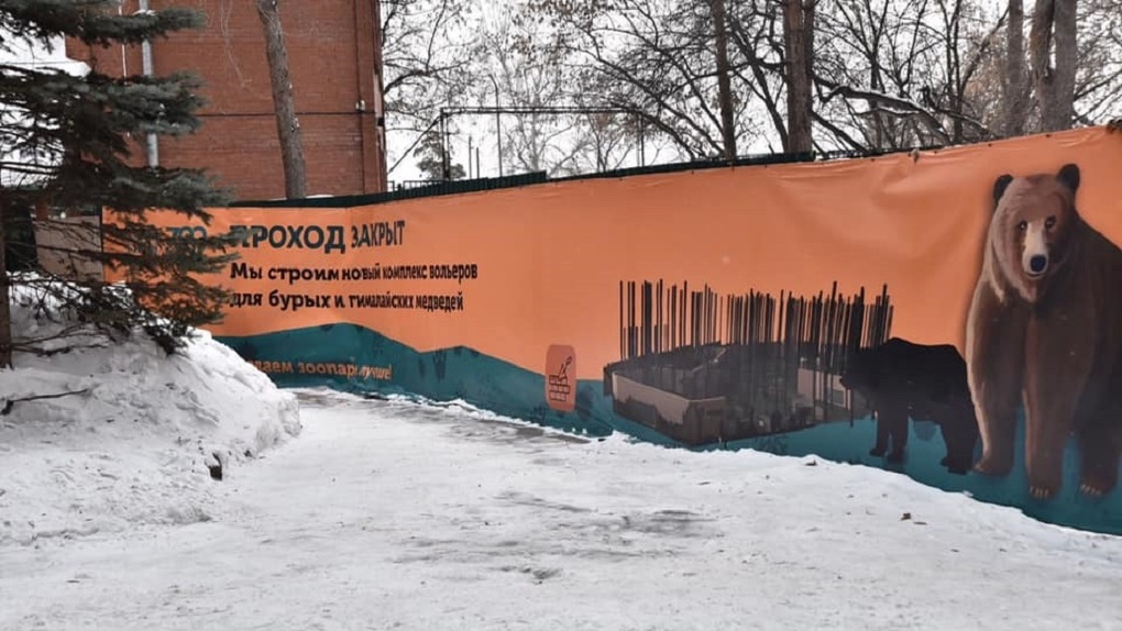 «Киноберлогу» для новосибирских школьников создадут в зоопарке имени Ростислава Шило