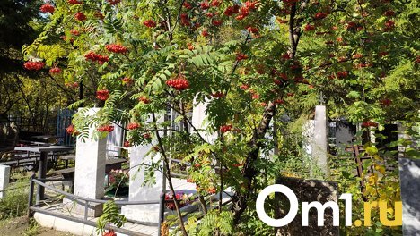 Омич обвинил дачников в затоплении кладбища