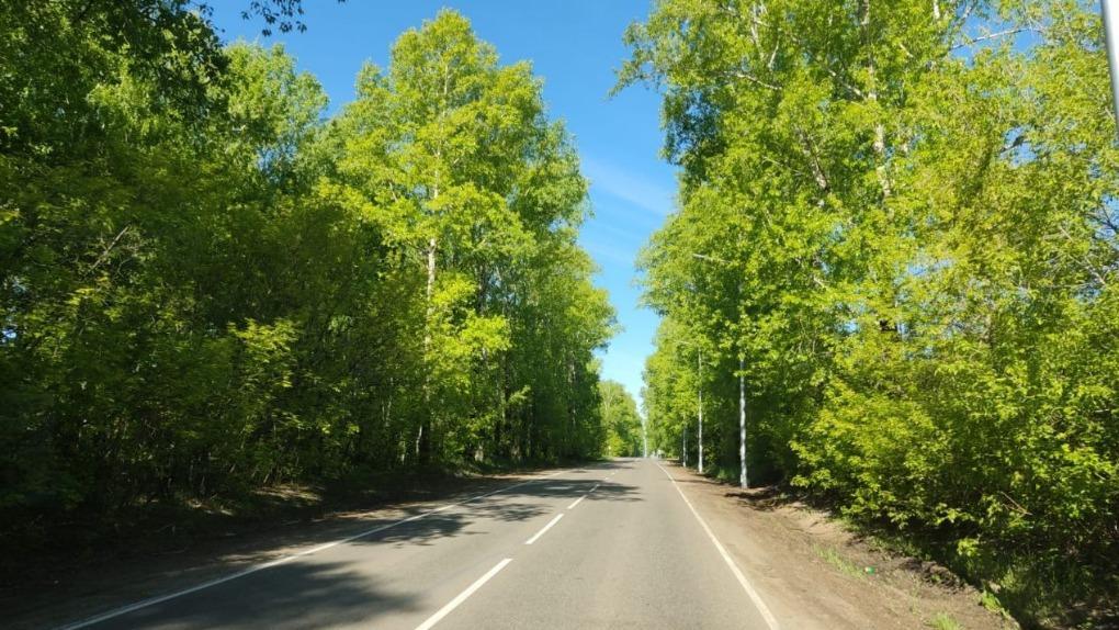 Дорогу к аэропорту Толмачёво перекроют на пять ночей в Новосибирске