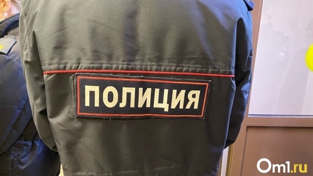 Вырвал из рук: у жительницы Новосибирска украли телефон в очереди к врачу