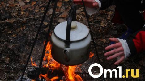В Омской области отменят особый противопожарный режим. Что это значит?
