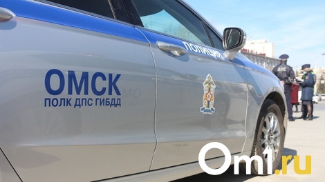 ГИБДД готовит масштабный рейд на трассах в Омской области