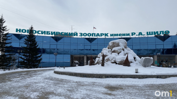 Стоимость билетов в Новосибирский зоопарк вырастет до 500 рублей