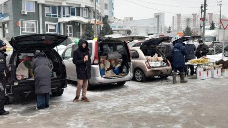 Цены на цветы взлетели к 8 Марта в Новосибирске: тюльпаны, мимоза, горшочные