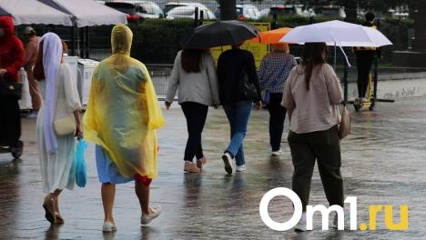 Жуткий ливень с грозами придёт в Омскую область на этой неделе