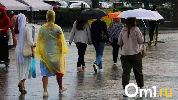 Жуткий ливень с грозами придёт в Омскую область на этой неделе