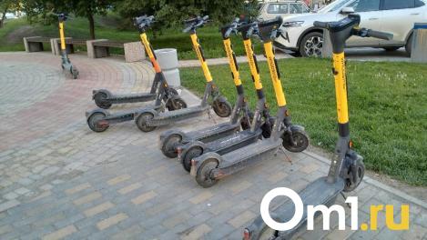 Прокат электросамокатов в Новосибирске откроется в апреле