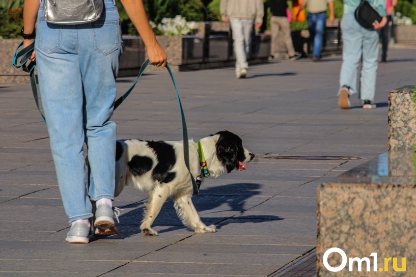 Изображение фоторепортажа