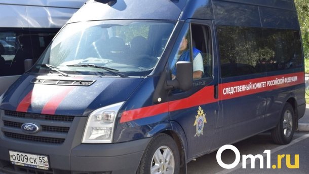 Тело водителя из Челябинска нашли у придорожного кафе в Омской области