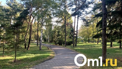 В Городском саду готовят пешеходные зоны и детскую площадку