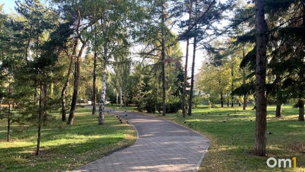 В Городском саду готовят пешеходные зоны и детскую площадку