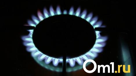 Газопровод в Сузуне и 20 тысяч домовладений: представлены планы догазификации в регионе на 2025 год