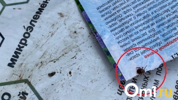 В Новосибирской области количество вакцин от энцефалита увеличилось на 51%