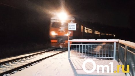 В Омске поезд насмерть сбил школьника