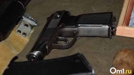 В Омской области вынесли приговор мужчине за убийство знакомого из охотничьего ружья