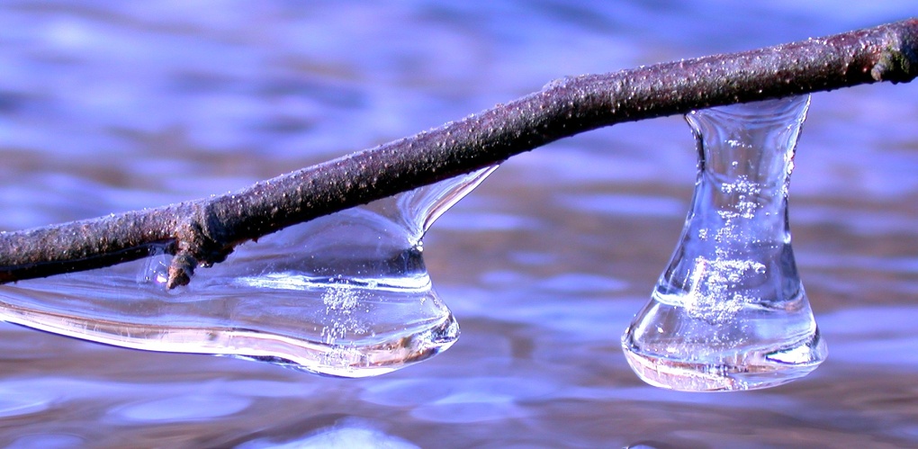 Груша талая вода. Талая вода. Весна вода. Таяние воды. Весна капель ручьи.