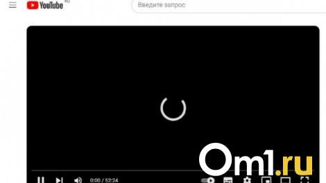 В Госдуме считают, что полная блокировка YouTube в России может случиться через 2 года