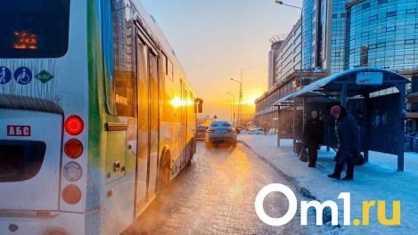 Арктические морозы до -34 градусов вновь накроют Омск