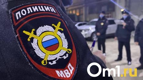 В Омской области водитель сбил 8-летнюю девочку, выбежавшую из-за припаркованного авто