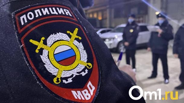 В Омской области водитель сбил 8-летнюю девочку, выбежавшую из-за припаркованного авто