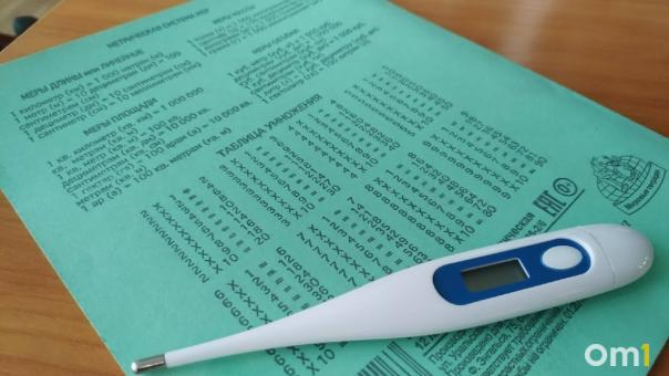 Болеют дети: в Омске резко выросла заболеваемость респираторными вирусами