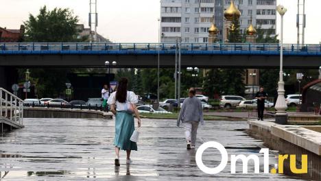 Омская мэрия объявила конкурс на проектирование развязки у метромоста за 10,9 миллиона рублей