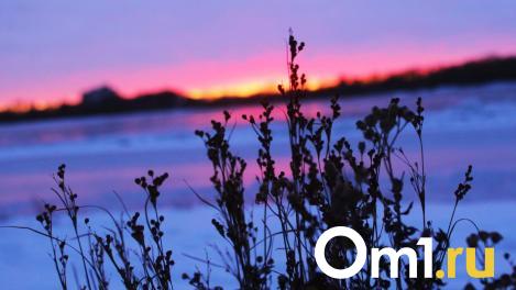 В праздничные выходные в Омской области ударят морозы до -36