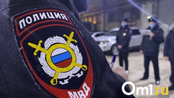 В Омске бывшего подполковника полиции отправили в колонию за мошенничество