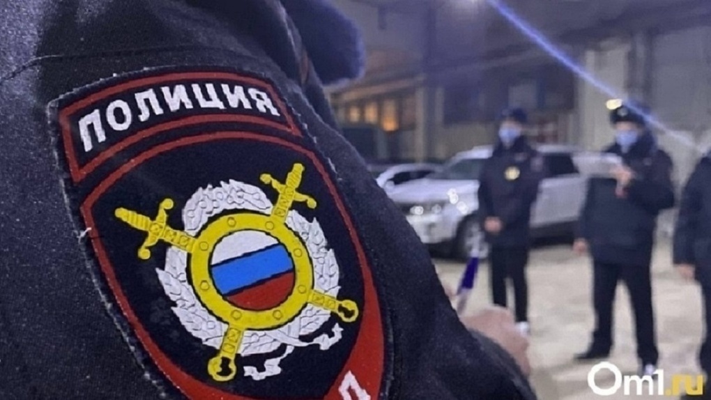 В Новосибирске в торговых центрах полиция задержала подростков