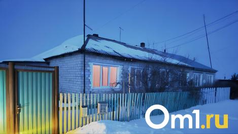 Голые дети в окне и жизнь на пособия: разбираемся в инциденте с омской семьёй