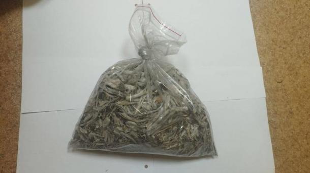 В Омске задержали мужчину, который искал в снегу галлюциногенные грибы