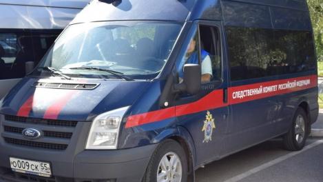 Житель Кузбасса, ранее судимый, подозревается в убийстве девочки из села Топки