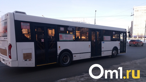 В Новосибирске объявили забастовку работники коммерческого транспорта