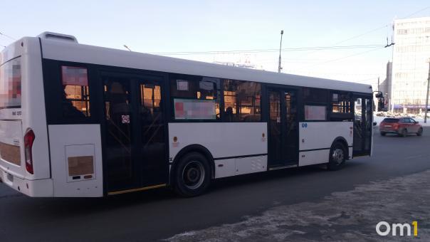 В Новосибирске объявили забастовку работники коммерческого транспорта