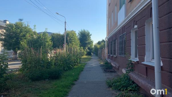 В центре Омска на Интернациональной вырубили деревья