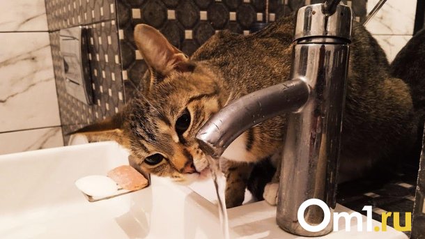 В Омске на следующей неделе отключат воду сразу в четырёх районах