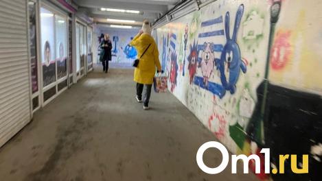 В центре Омска в подземном переходе отвалилась плитка