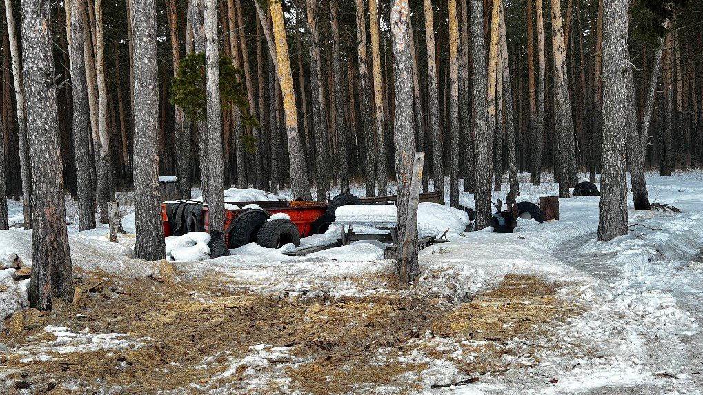 В Омской области предприниматель незаконно складировал мусор в лесу