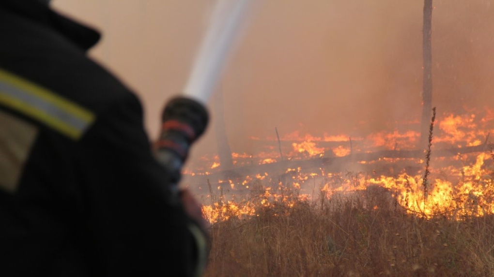 Заместитель губернатора Новосибирской области: «Ситуация с пожарами в регионе на особом контроле властей»