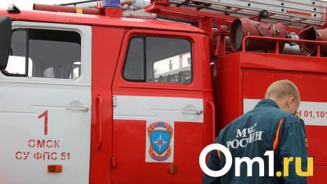 Омич поджёг чужой дачный дом ради мести