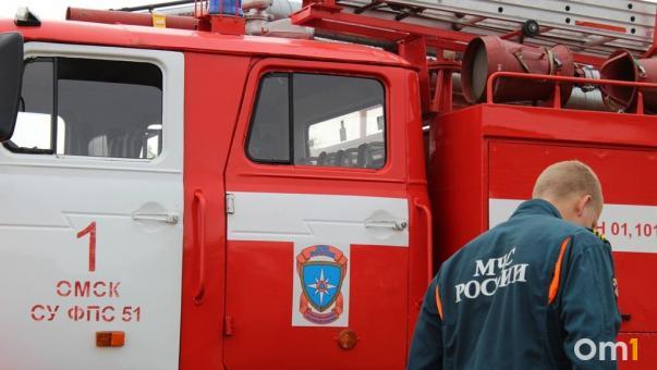 Омич поджёг чужой дачный дом ради мести