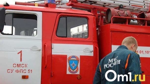 Омич поджёг чужой дачный дом ради мести