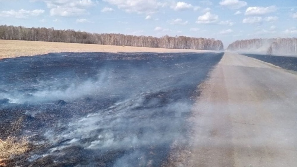 За сутки в Омской области произошло 24 лесных пожара