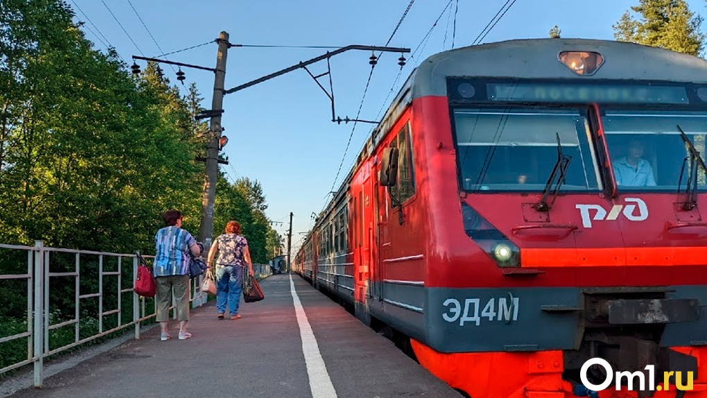 Пять остановок электричек в Новосибирской области отменят с 15 августа