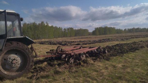 Геоглиф, высаженный под Омском в честь 80-летия Победы, защитили от огня