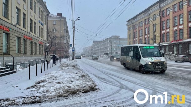 «Похолодание будет очень заметным»: в Омск в конце марта вернётся зима