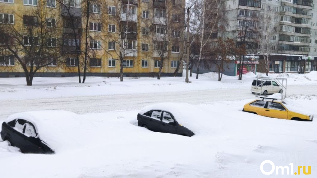 Мэрию Новосибирска обязали докупить снегоуборочную технику