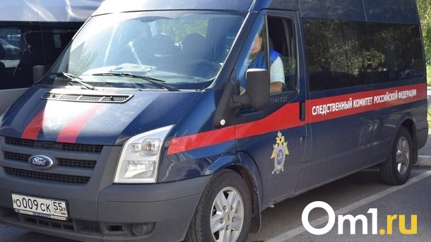 Глава СК Бастрыкин потребовал доклад о незаконной стройке общежития для мигрантов в Новосибирске
