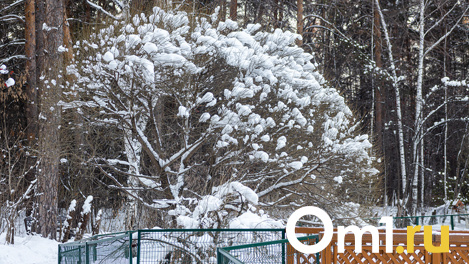 Мороз и слабый снег: в Новосибирске обновили прогноз погоды до конца месяца