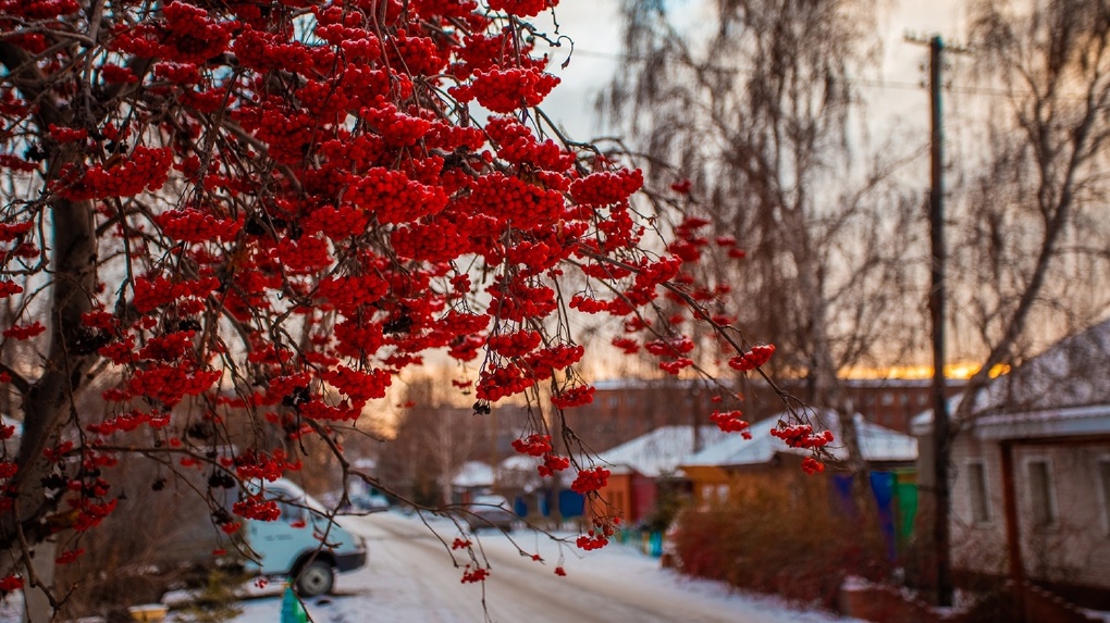 Удивительный январь: в Омск раньше времени придёт весна